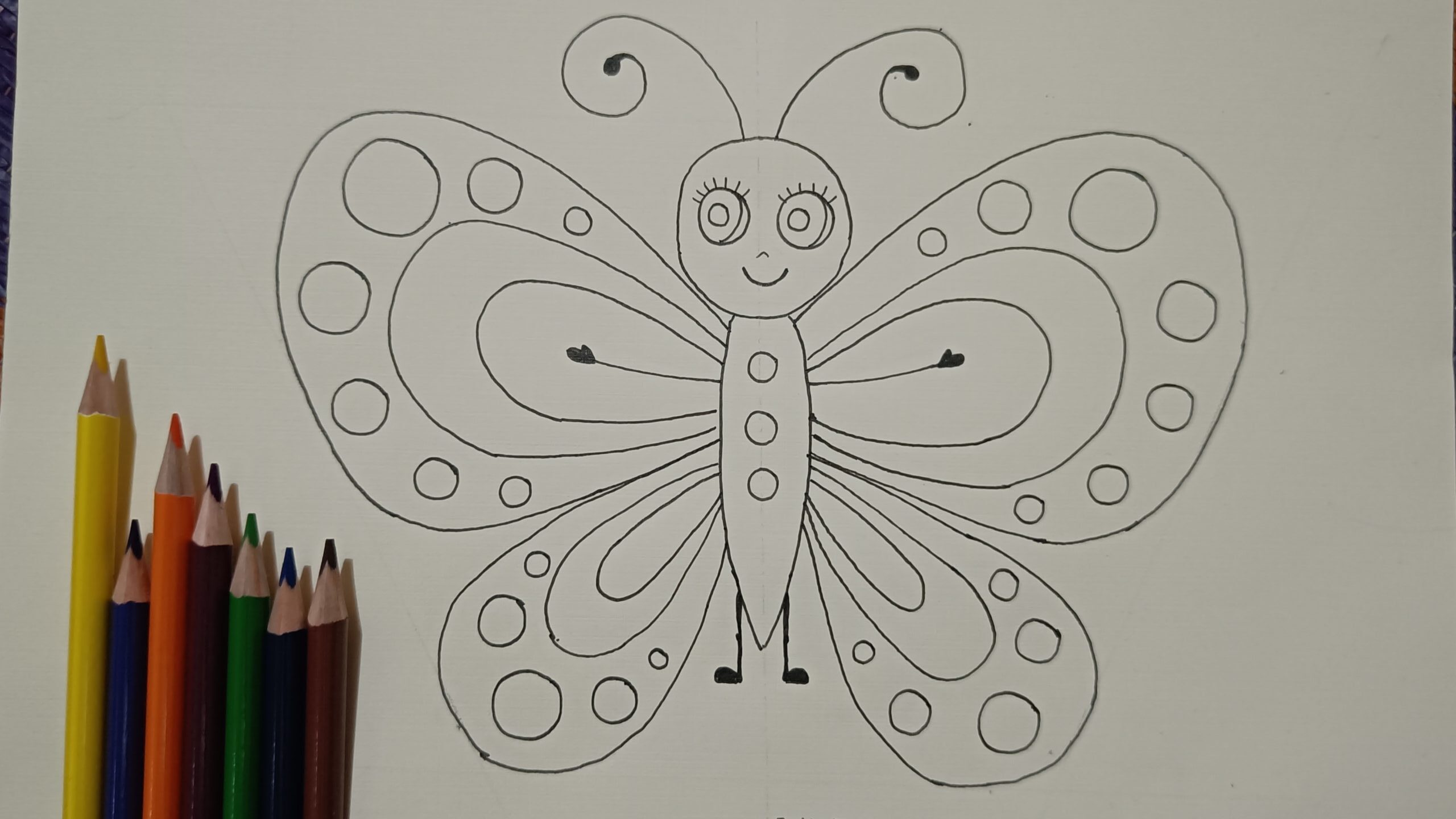 Step9 Butterfly Drawing for Kids