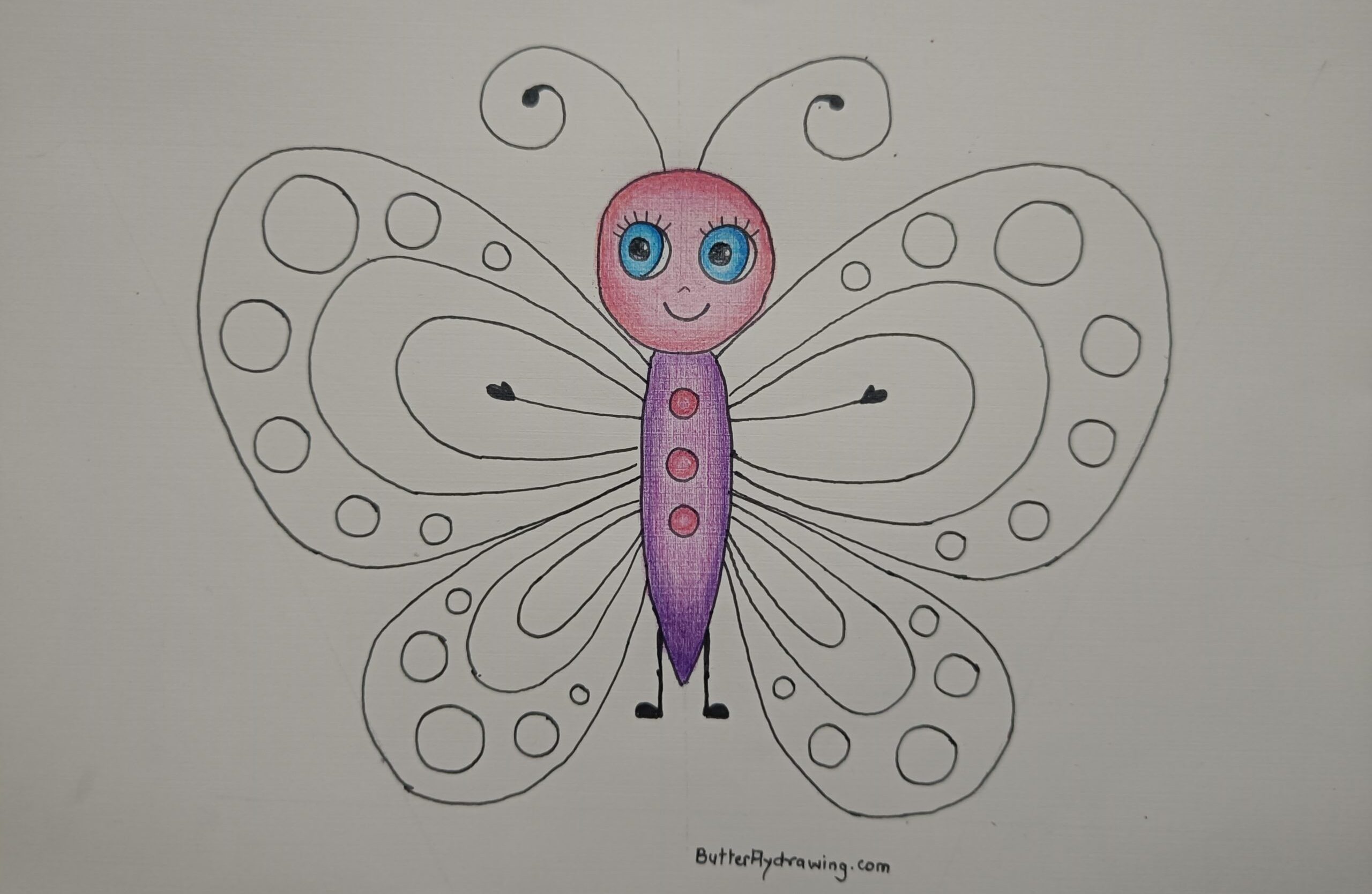 Step9 Butterfly Drawing for Kids with Colour