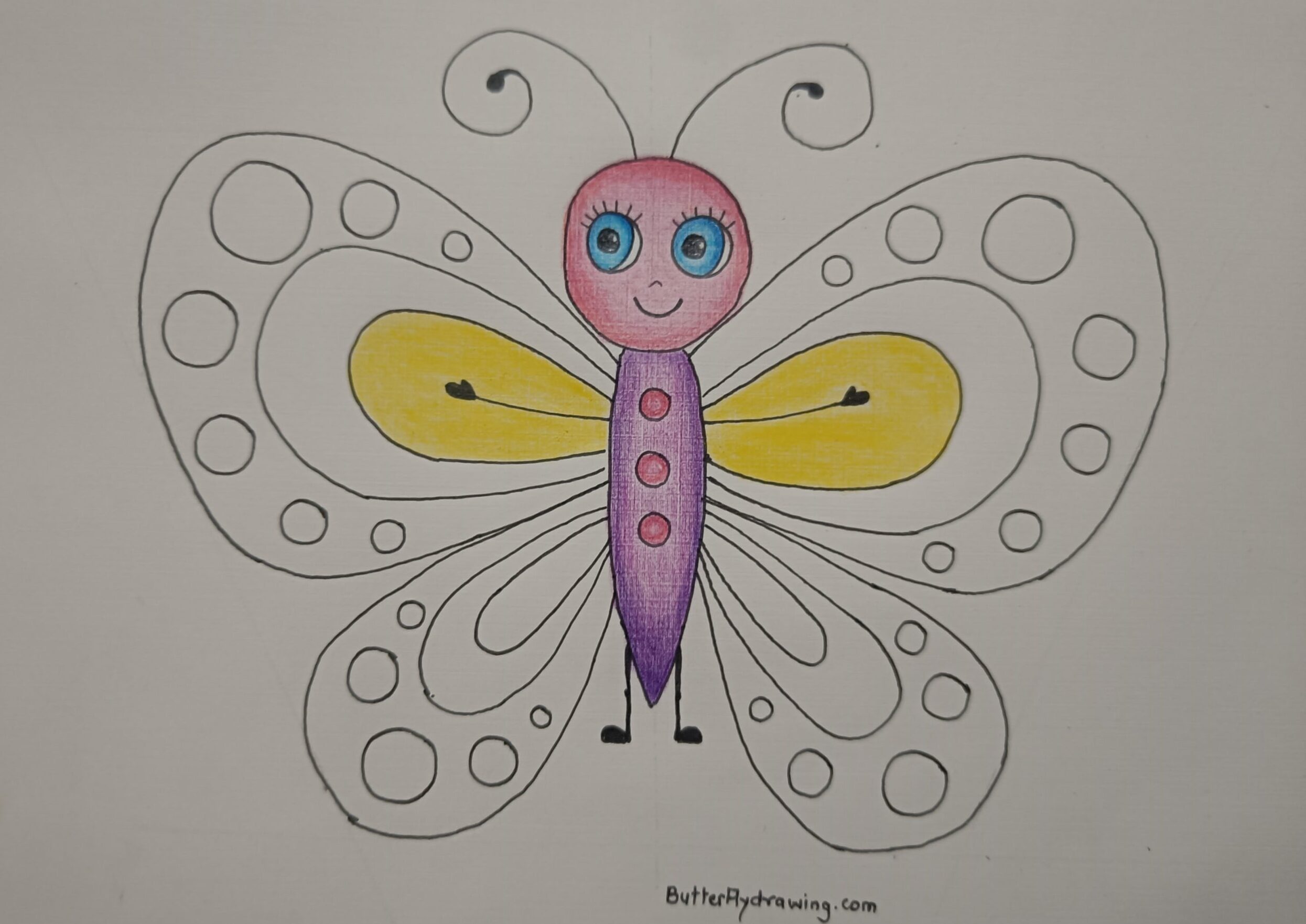Butterfly Drawing for Kids with Colour
