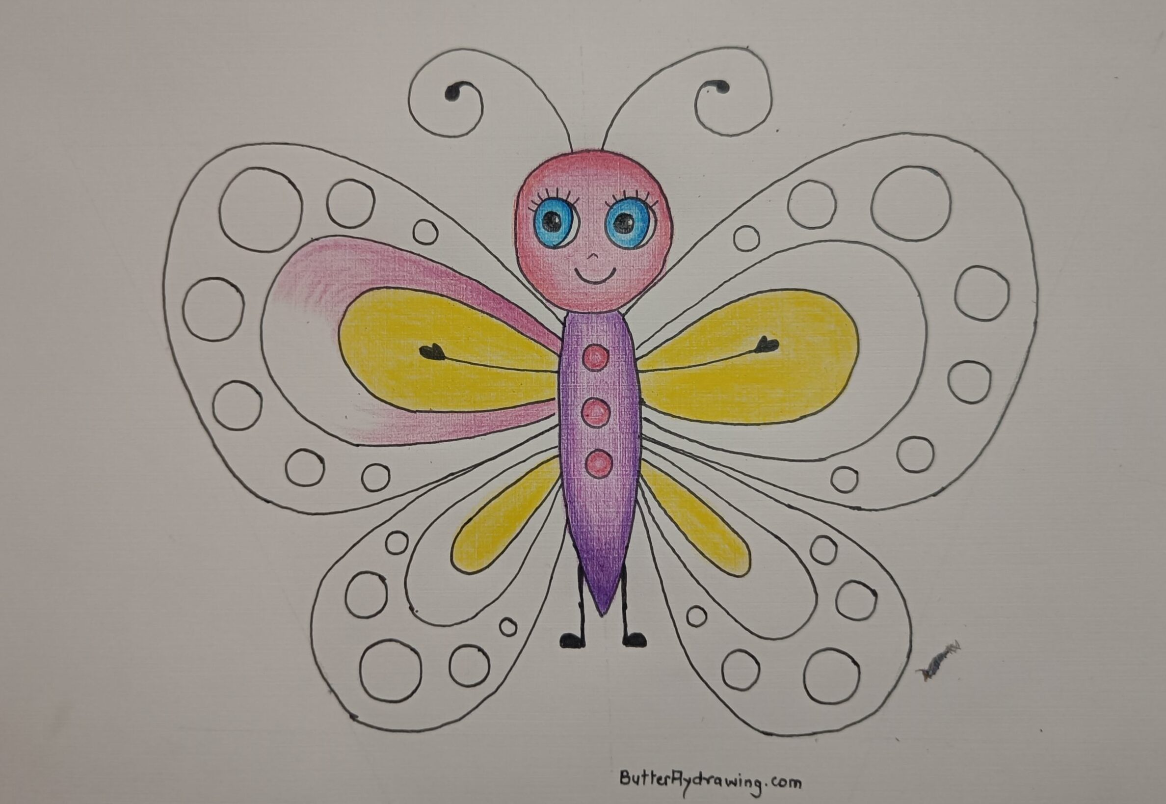 coloured Butterfly Drawing for Kids