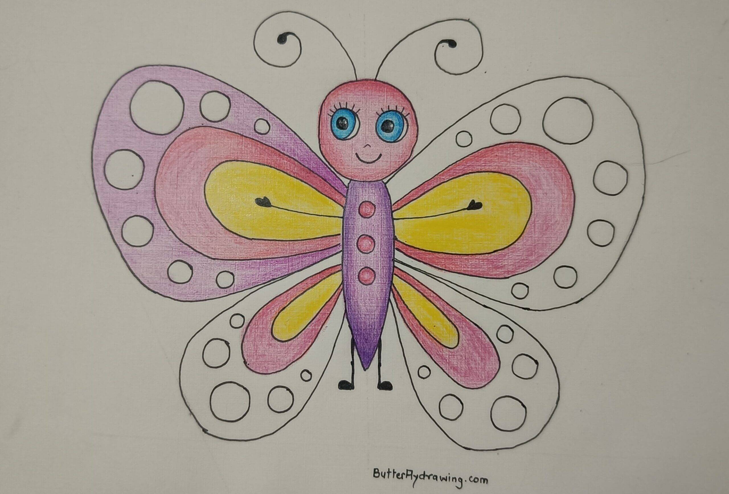 Colourful Butterfly Drawing for Kids