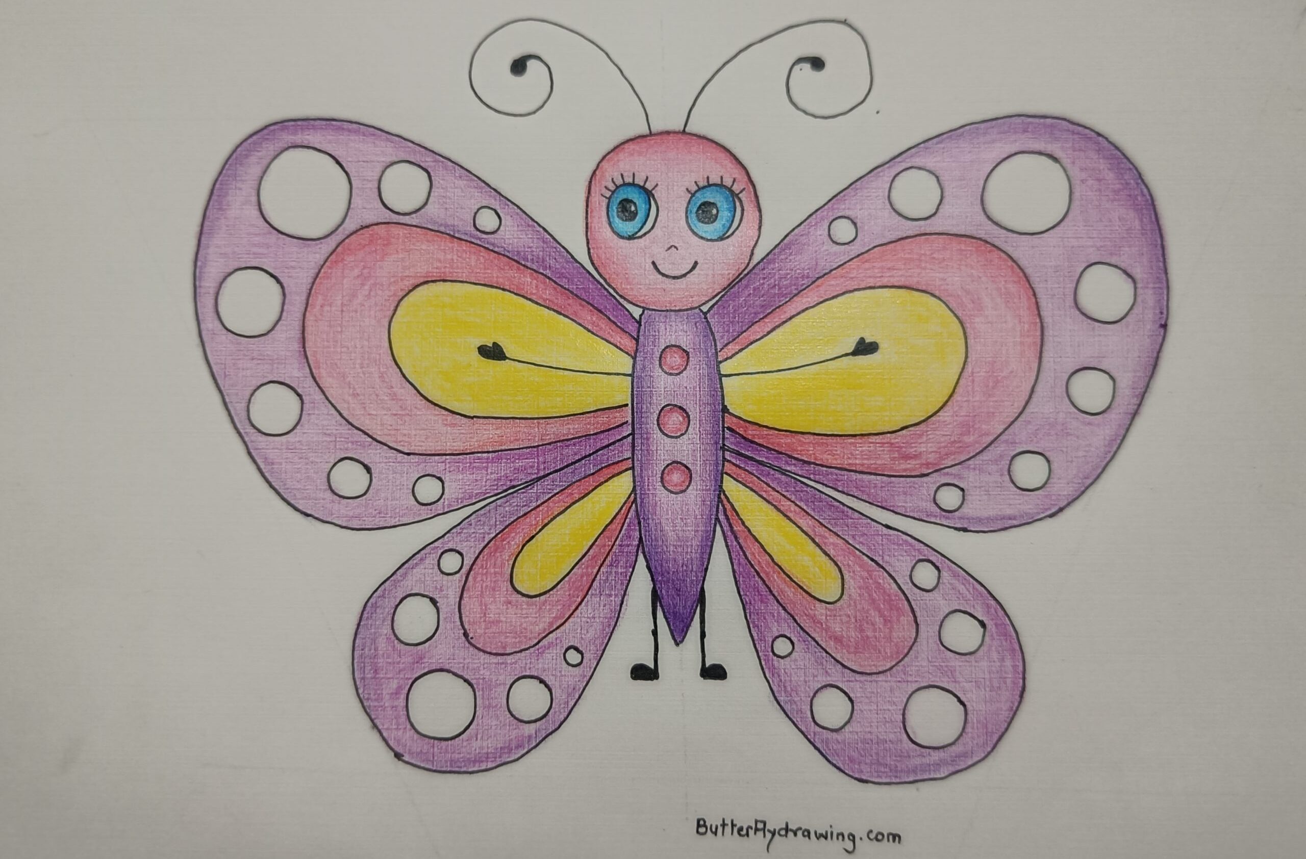 Colourful Butterfly Drawing for Kids