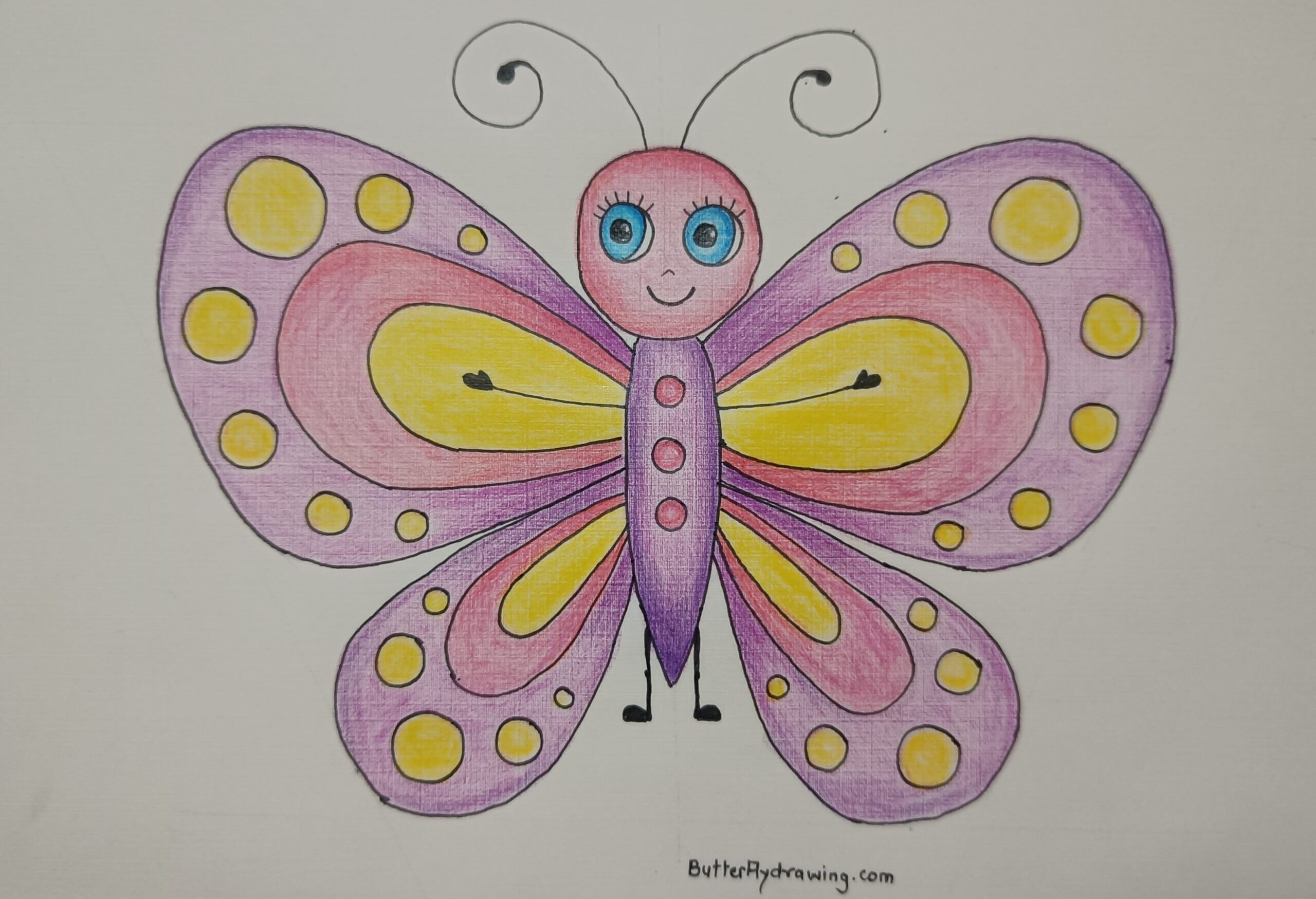 Step by step Colourful Butterfly Drawing for Kids