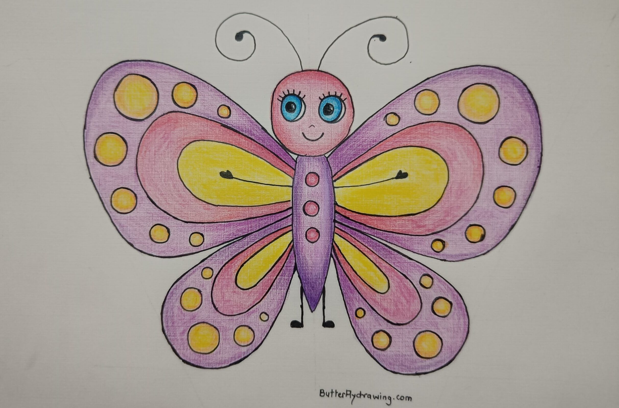 Colourful Butterfly Drawing for Kid with Step by Step