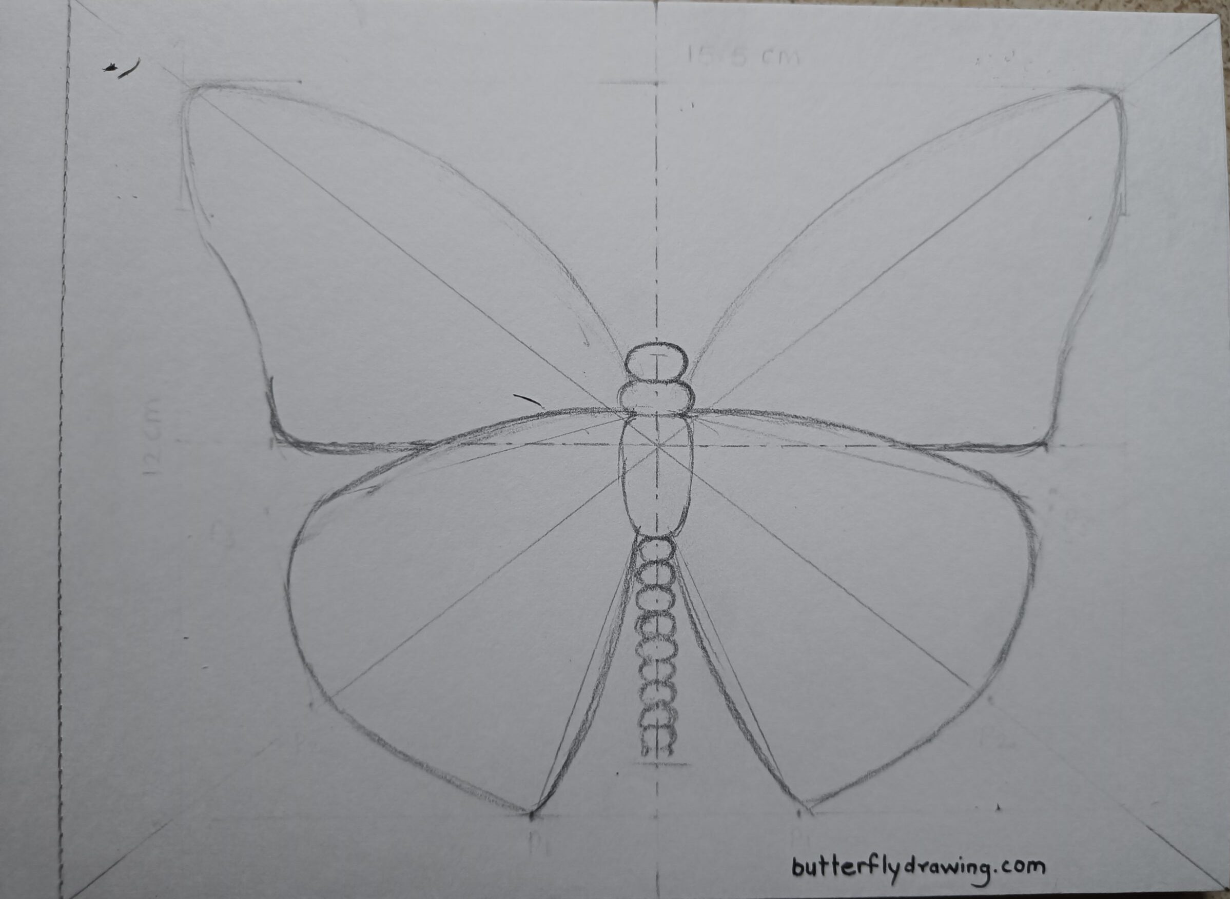 Easy Monarch Butterfly Drawing step