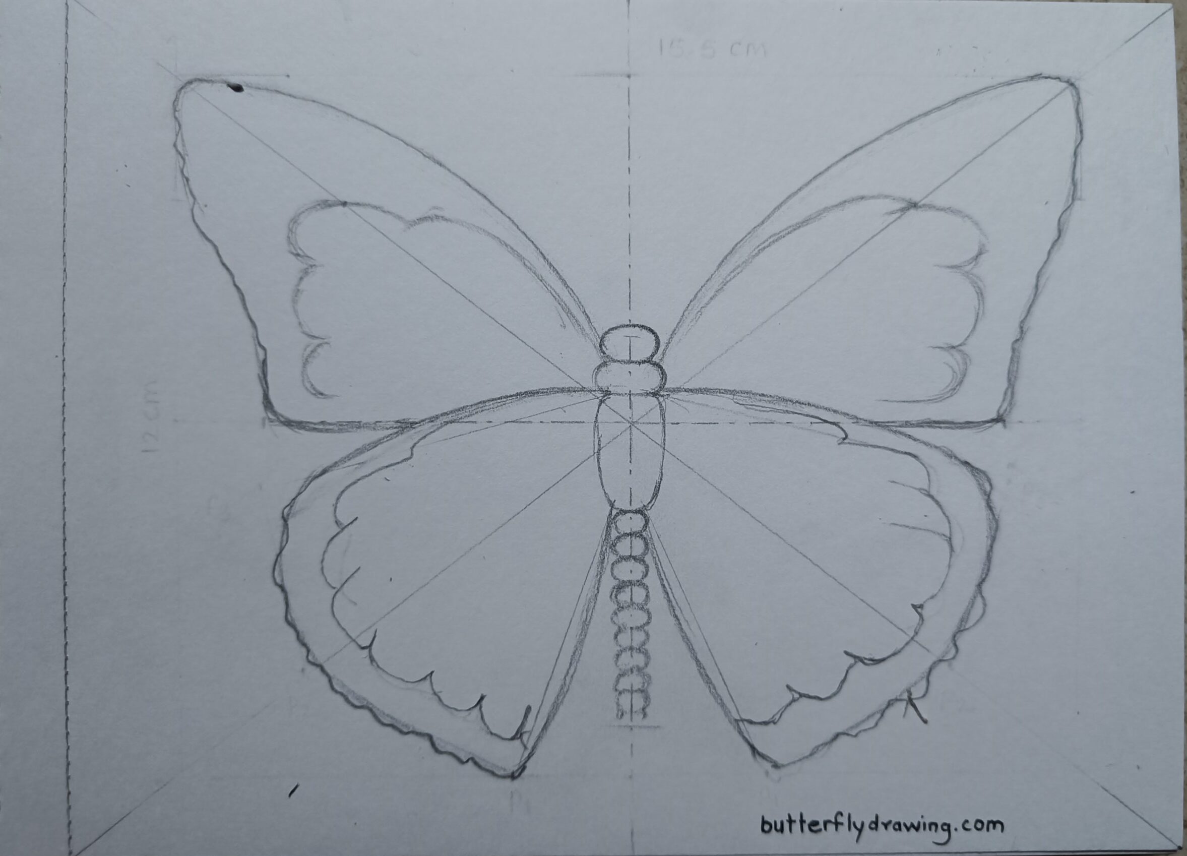 Easy monarch butterfly sketch