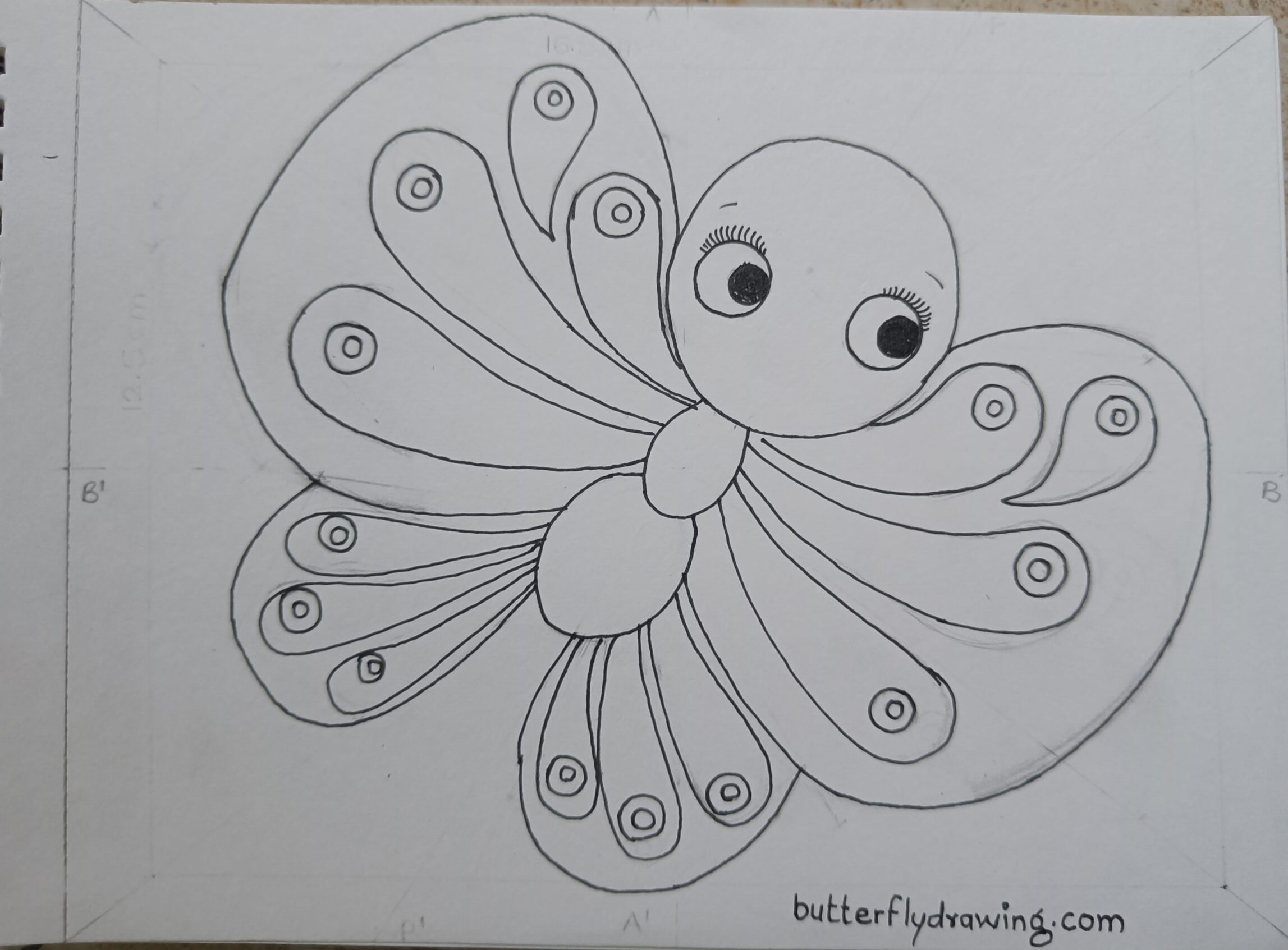 Cute Butterfly Drawing for Kids