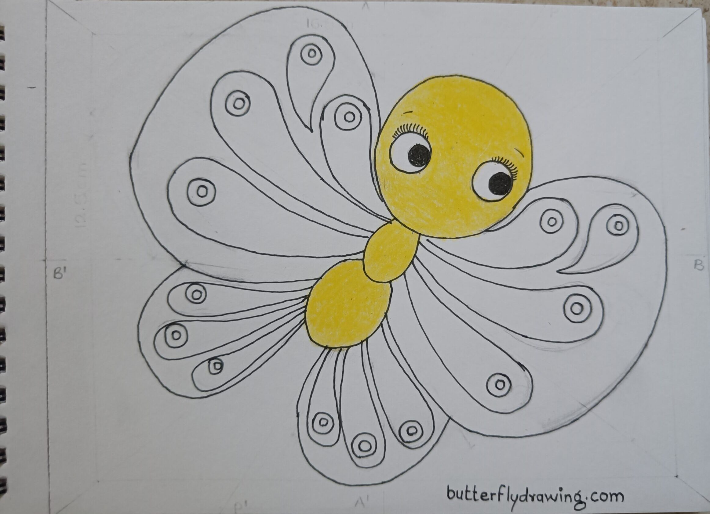 colourful Cute Butterfly Drawing for Kids