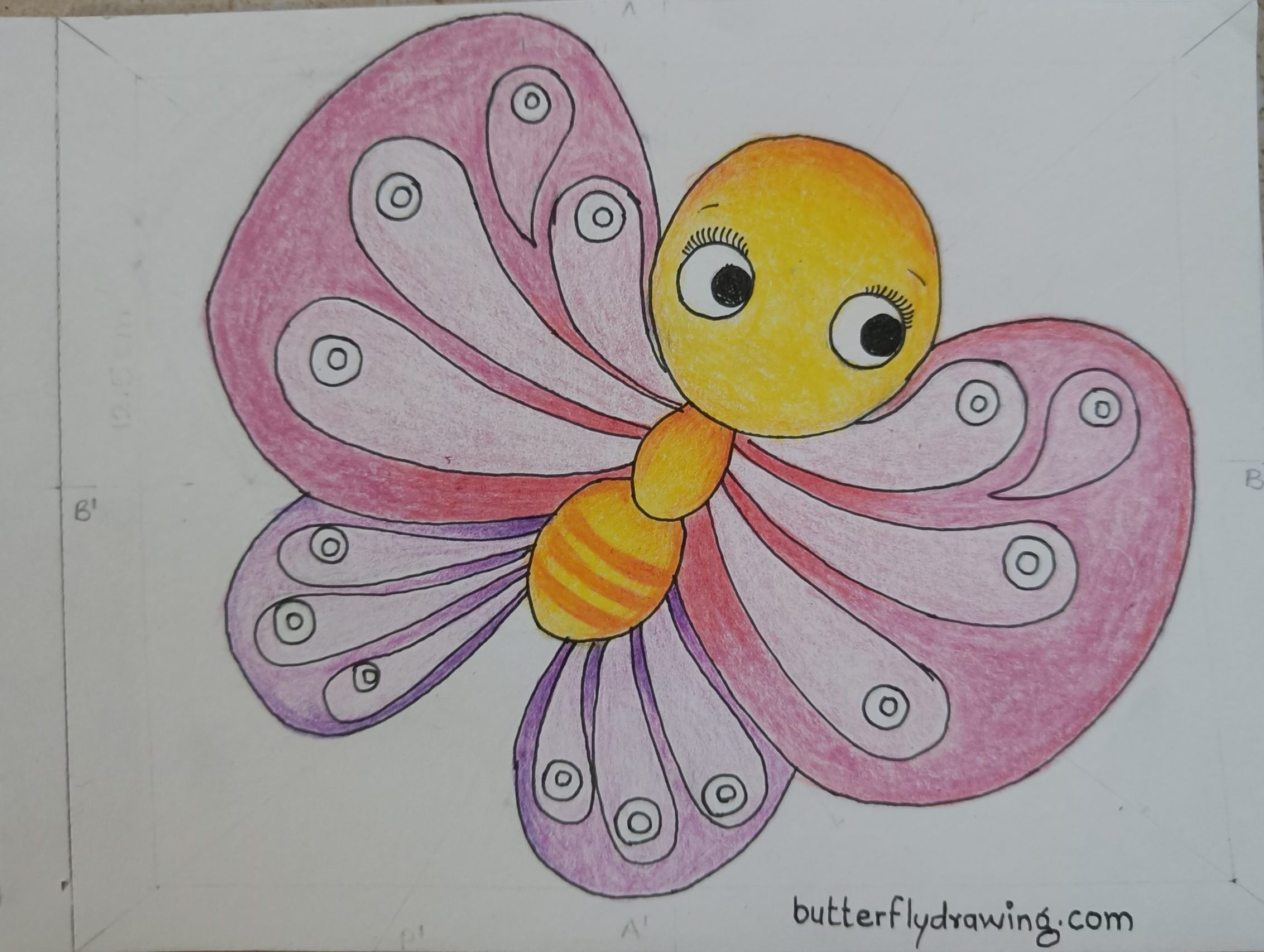 colourful butterfly drawing for kids
