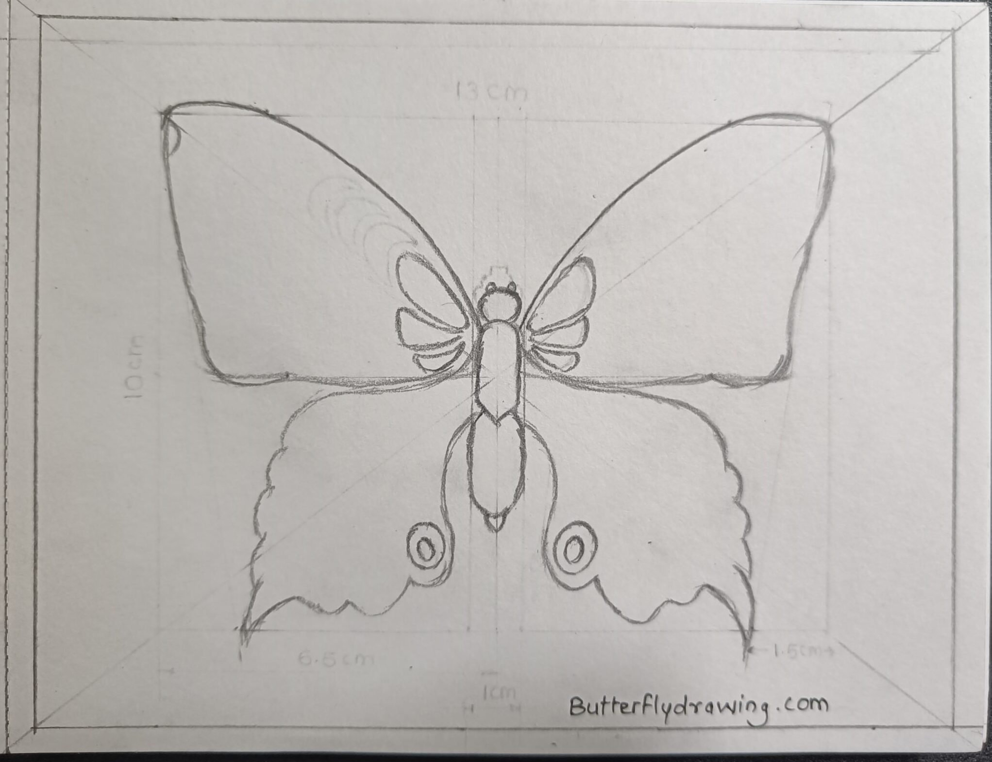How to draw butterfly drawing