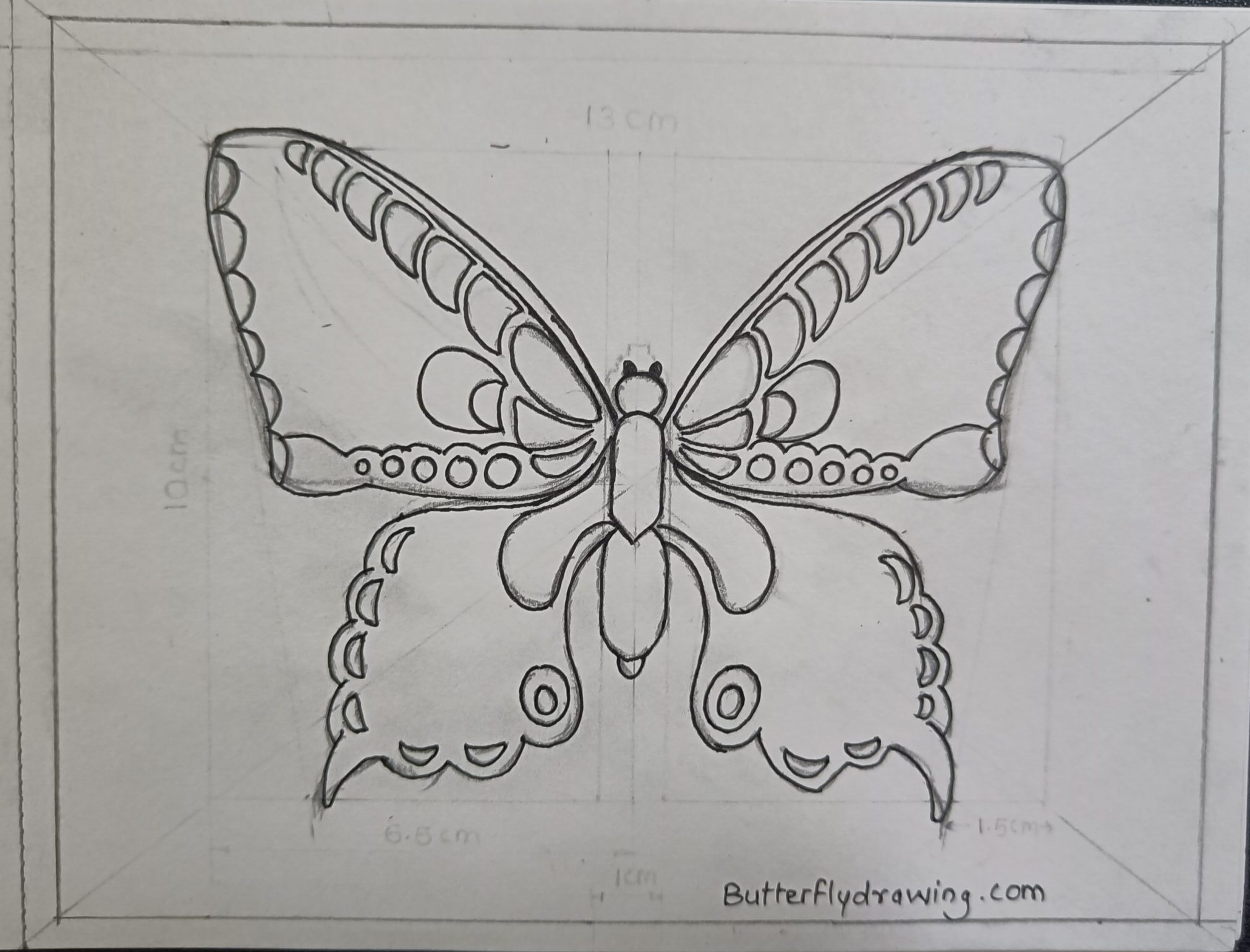 How to Draw Butterfly Drawing