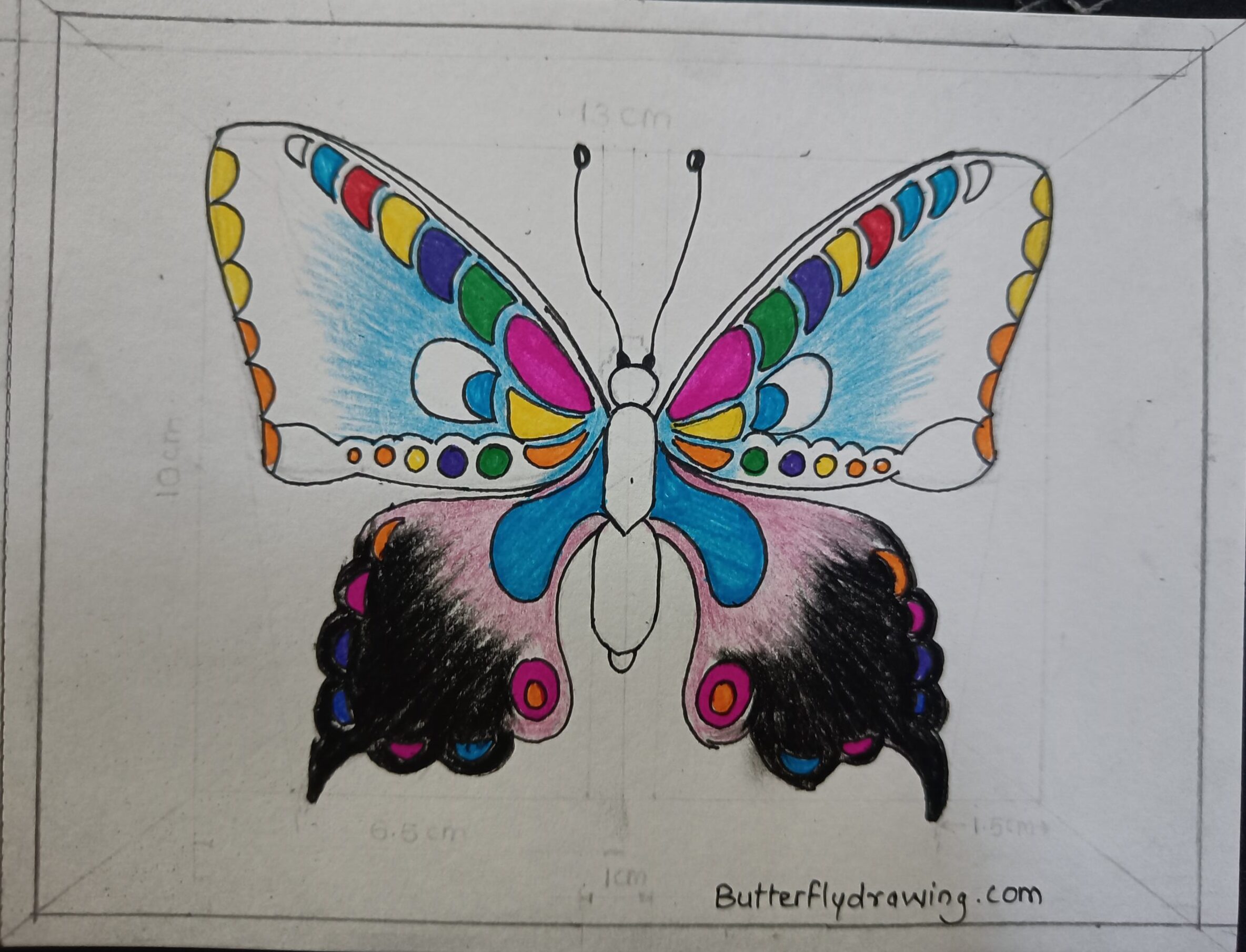 Colourful Butterfly Drawing