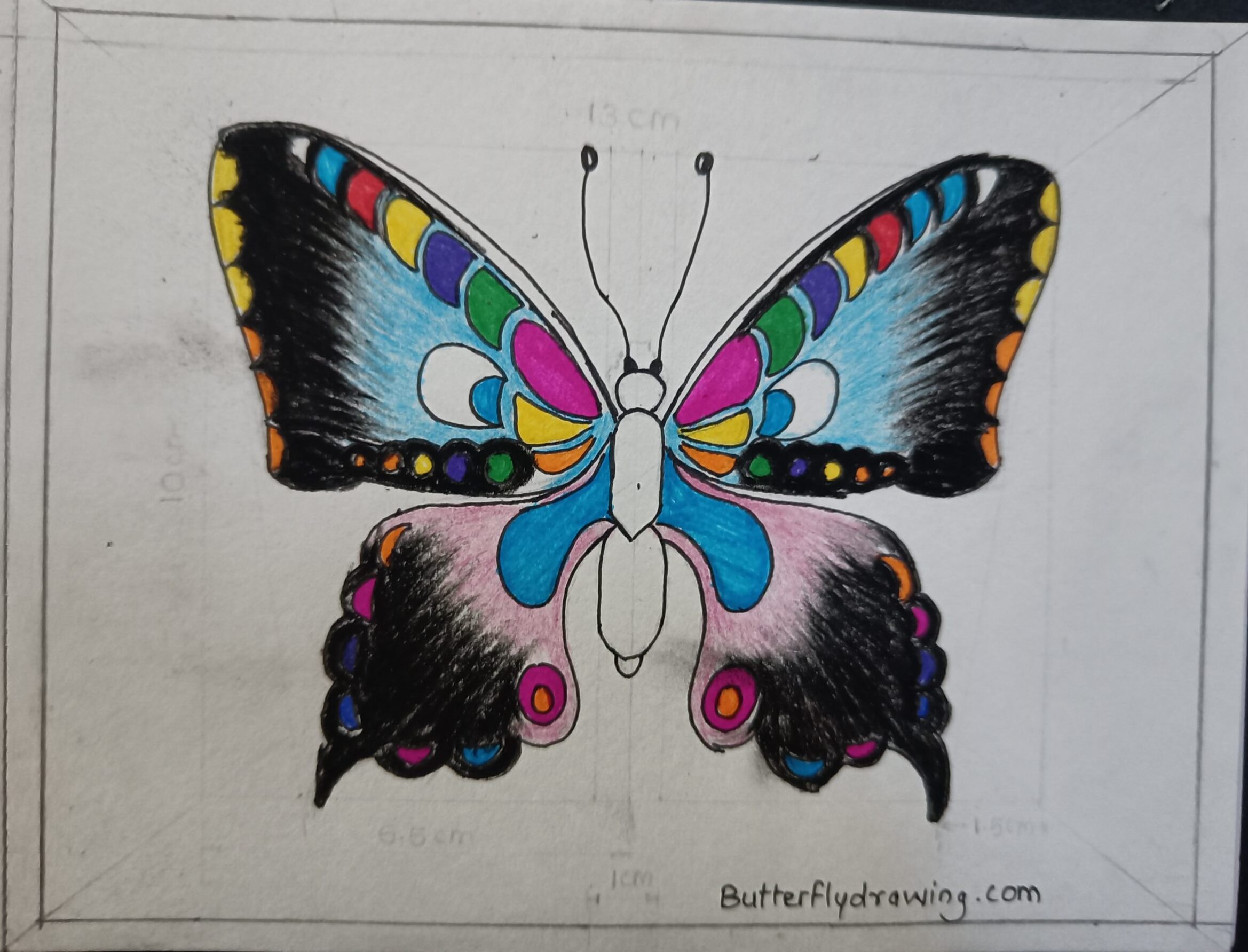 Colourful Butterfly Drawing