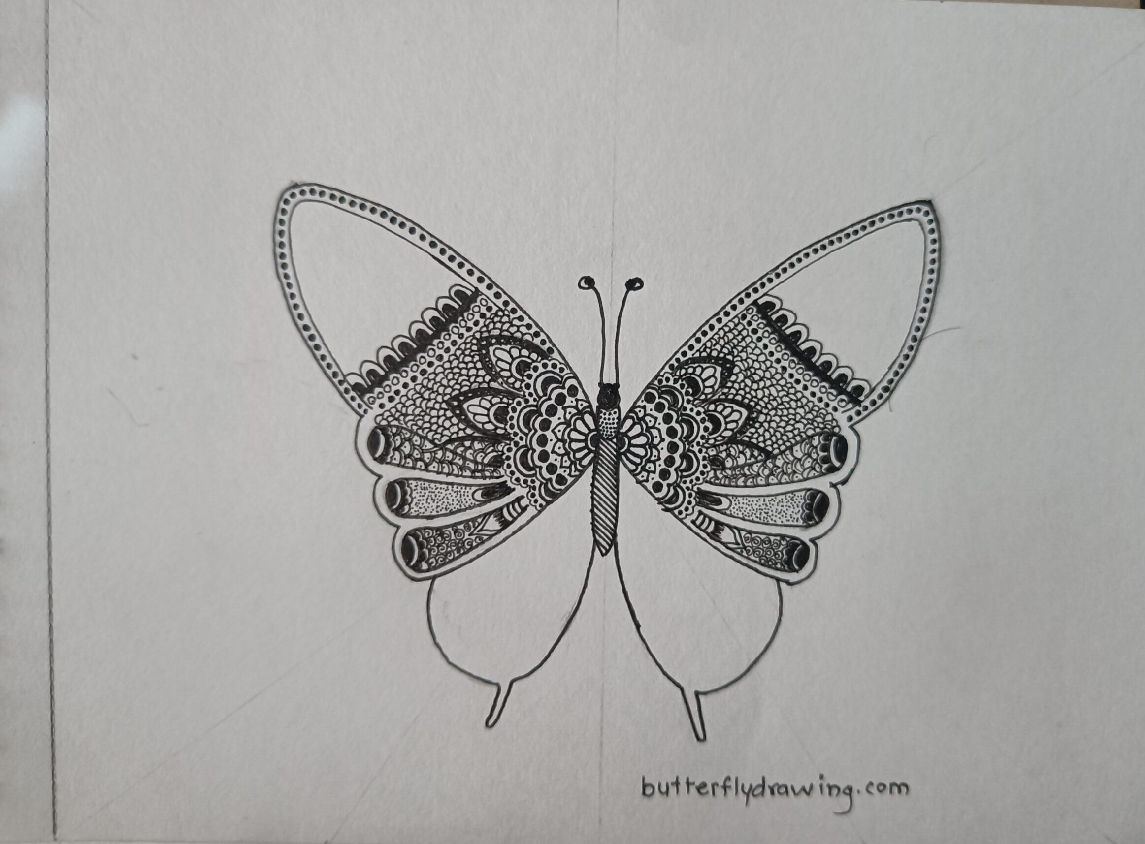 Easy Butterfly Mandala Art