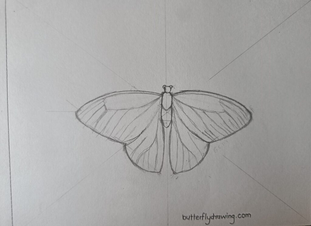 Butterfly Drawing with step by step
