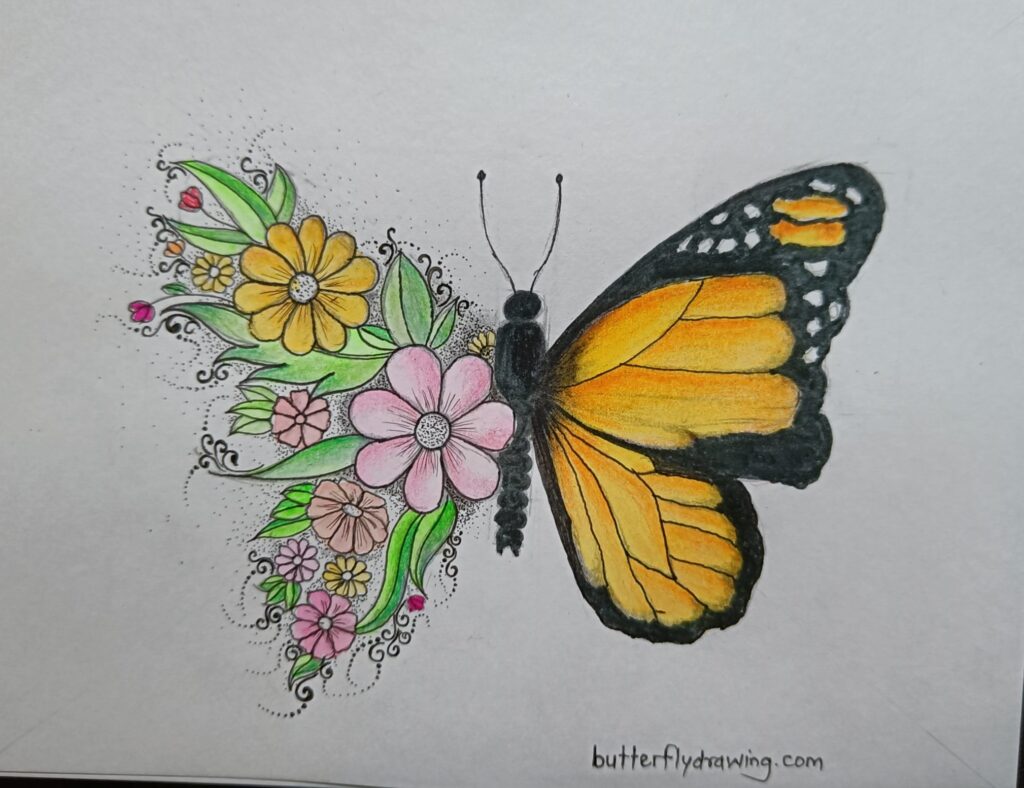 Half Butterfly Half Flower Drawing and tattoo