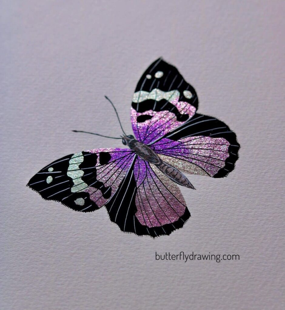 sapphire butterfly