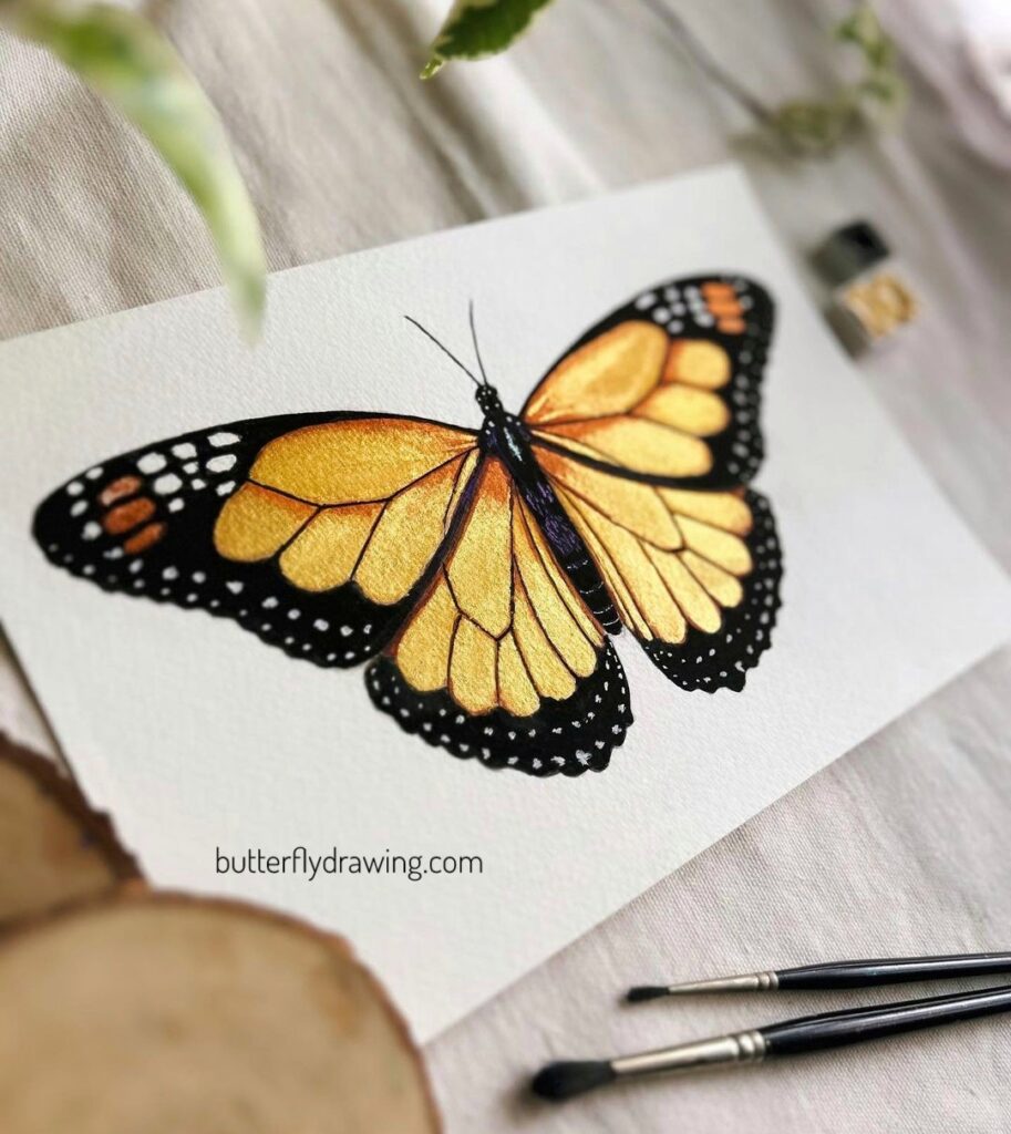 Metallic butterfly drawing ideas