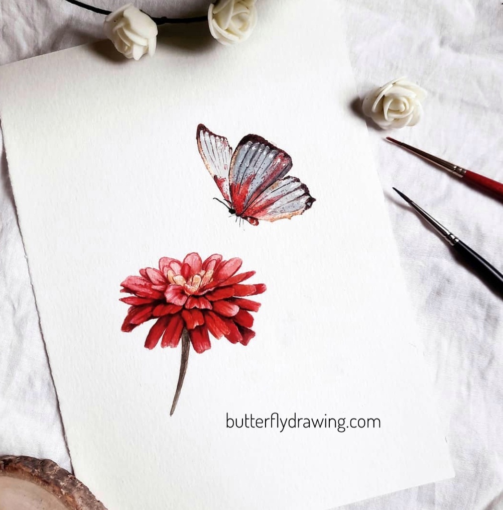 Butterfly drawing with flower