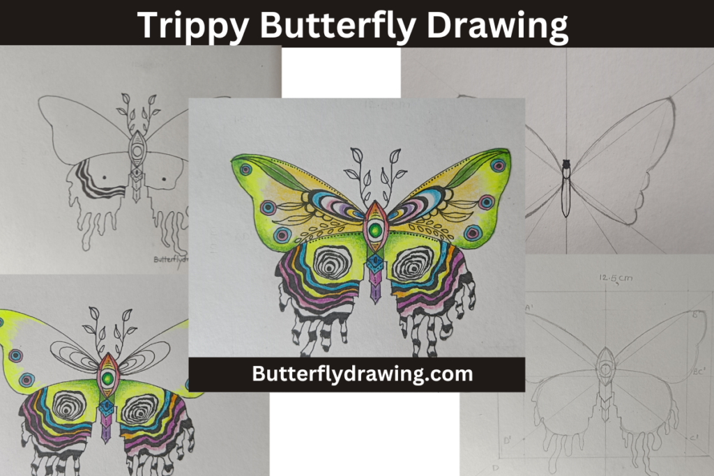 Step By Step Draw Trippy Butterfly Drawing