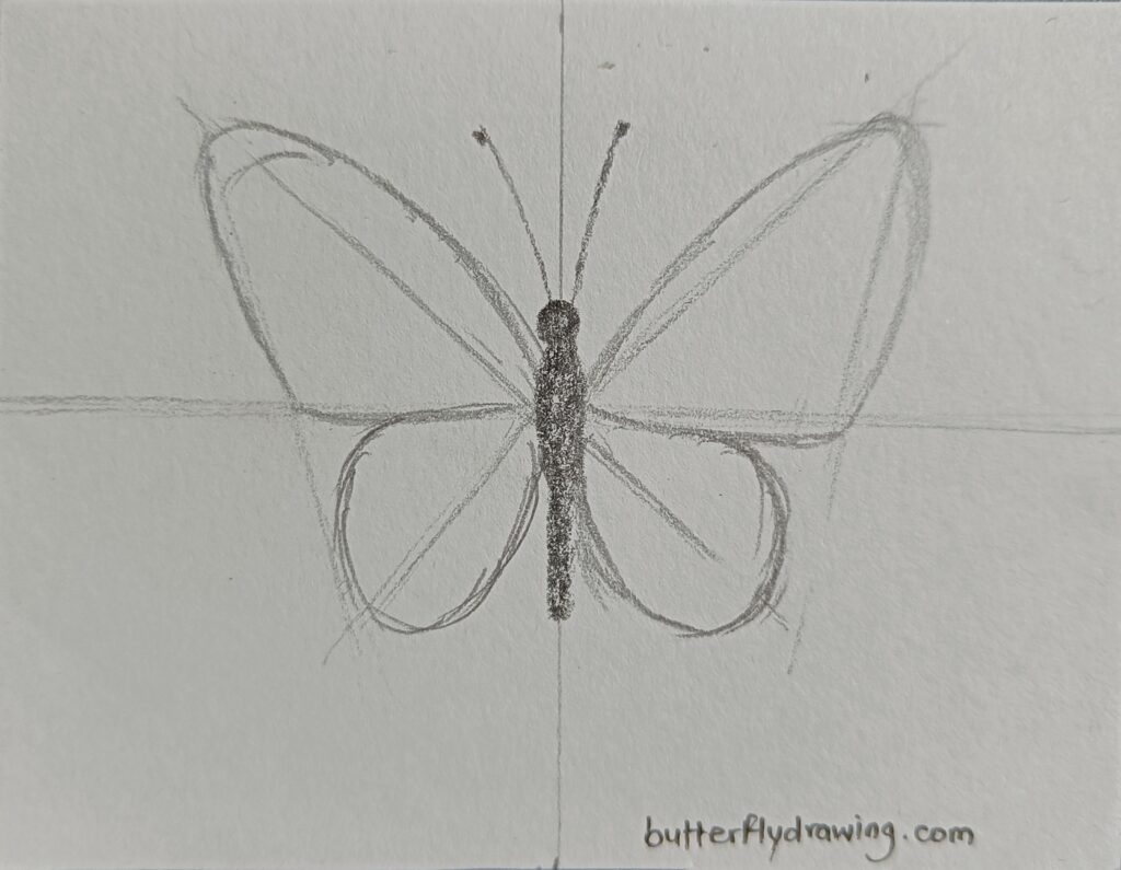 Pencil Drawing Butterfly