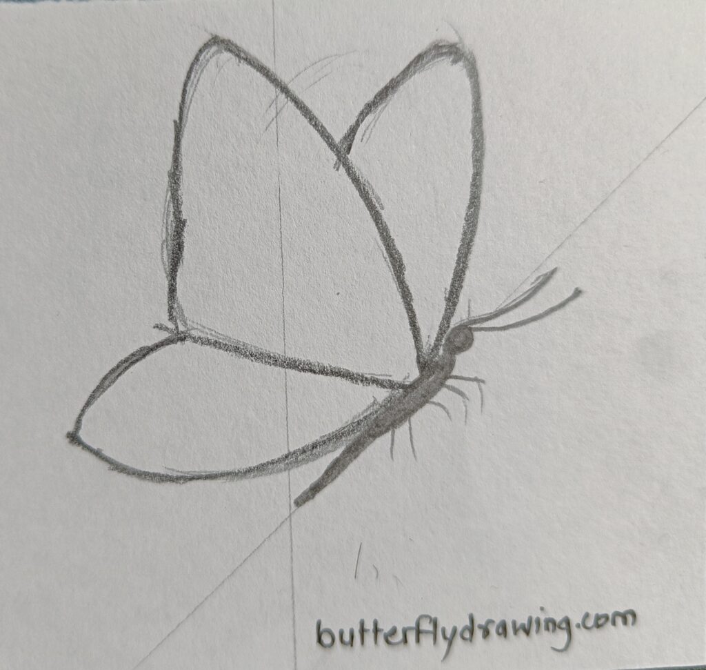 Butterfly Drawings in Pencil