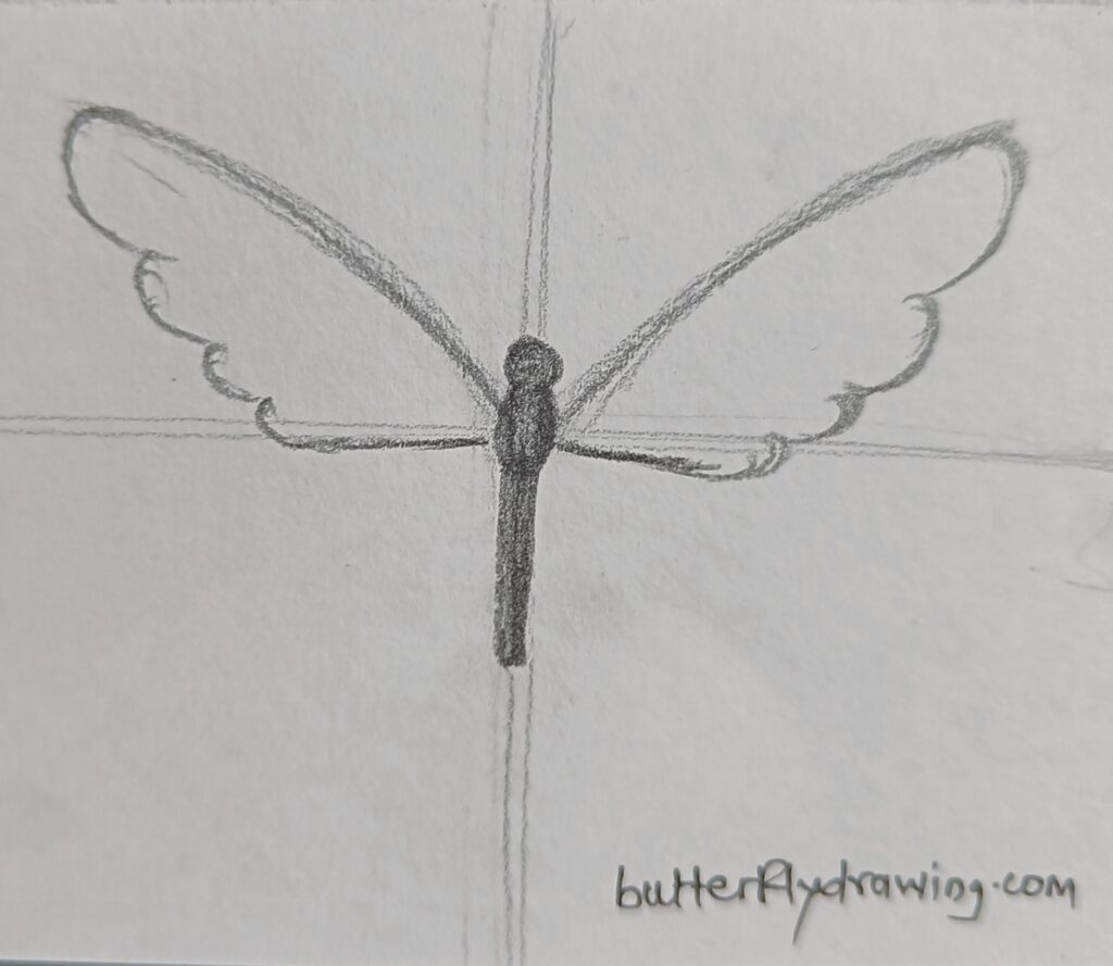 butterfly pencil sketch