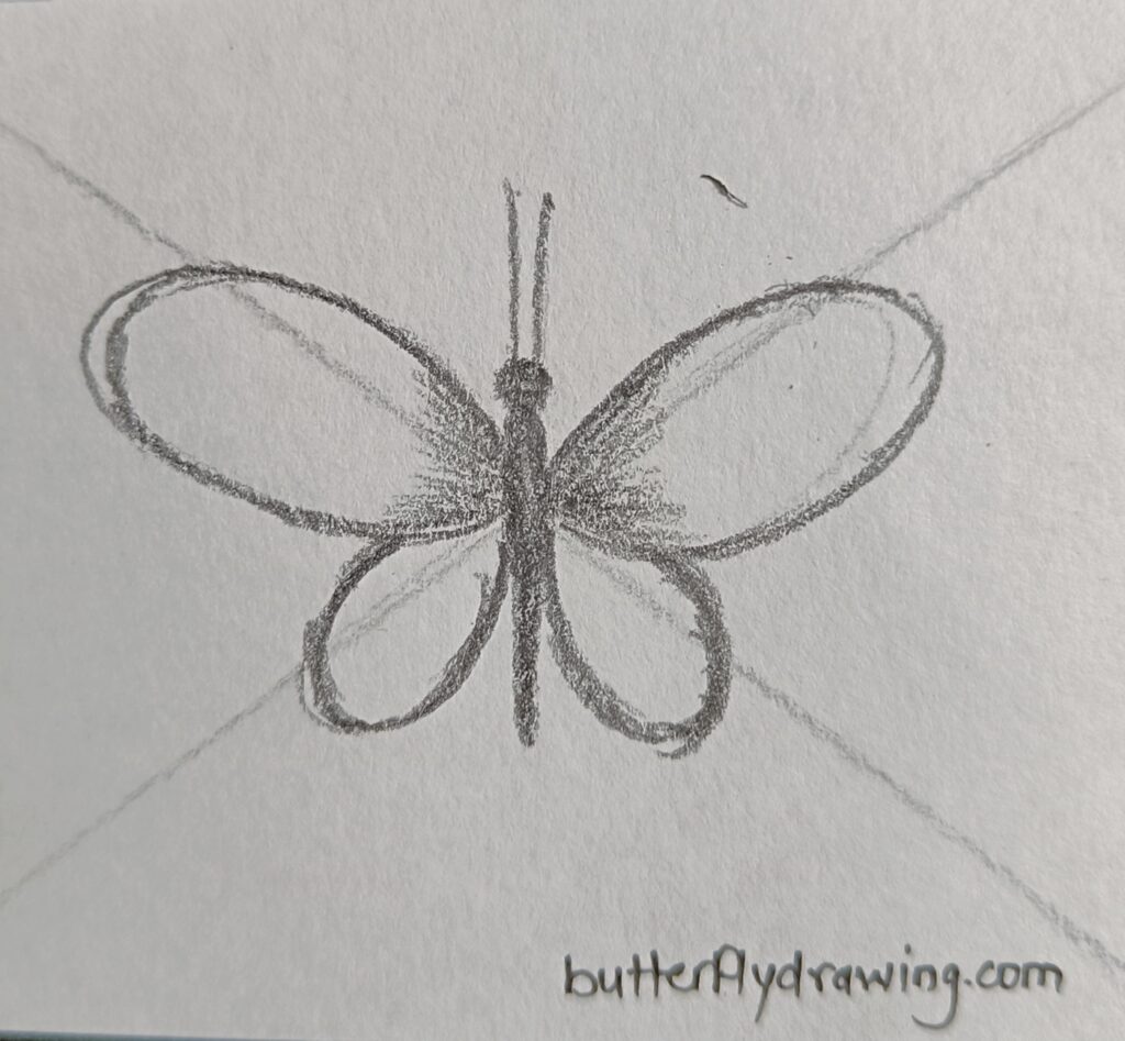Pencil Drawing Butterfly