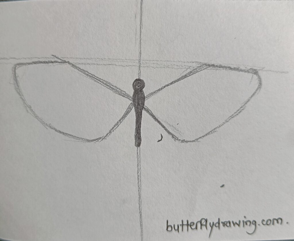 butterfly pencil sketch