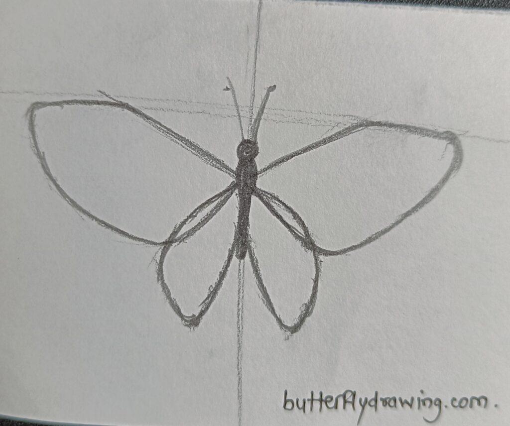 Butterfly Drawings in Pencil